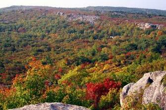 Fall Nature Pictures Image Wallpaper