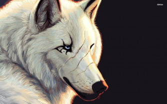 White Wolf Wallpaper