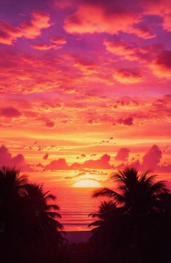 Summer Sunset Wallpaper