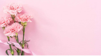 Baby Pink Wallpaper Design