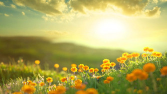 Enjoying The Beautiful Sunshine Wallpaper