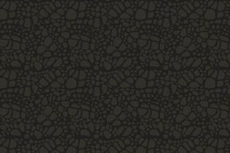 Blackrock Masculine Illustrations Patterns Prokaya