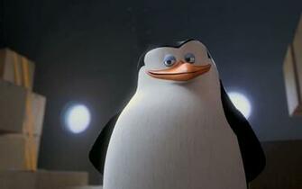 Skipper From The Penguins Of Madagascar Wallpaper