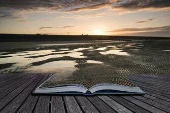 Sunshine Coast Dunes Board Book Creative Design Classic