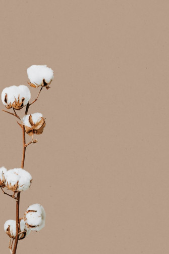 Illustration Of Beige Minimal Flower Background