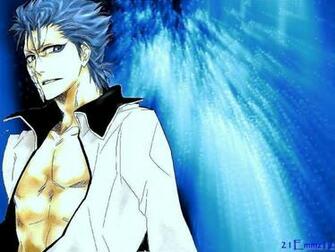 Grimmjow Jeagerjaques Wallpaper