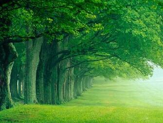 Beautiful Summer Wallpaper