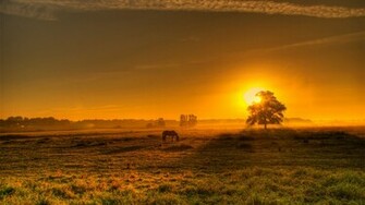 Photography Wallpaper Windows