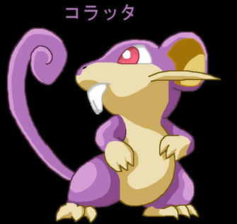 Rattata