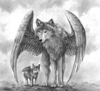Rainforest Pack Gathering The Wolves Of Elanti