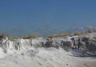 Winter Beach Scenes