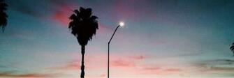 Background Cali Header Palm Trees Sky Sunset