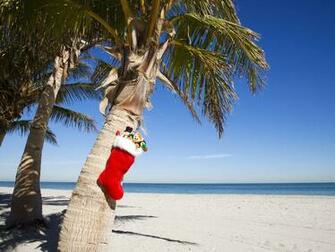 Tropical Christmas Wusa Wallpaperea Andpop