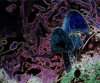 Trippy Alice In Wonderland Background Use As Desktop Wallpaper