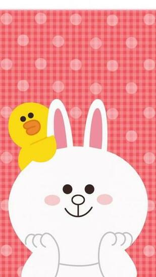 Best Line Cony Ideas Brown