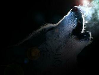Wolf Wallpaper By Ottergrl