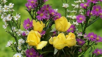 Yellow Roses Wallpaper