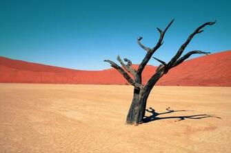 Desert Wallpaper Nature Deserts HD Desktop