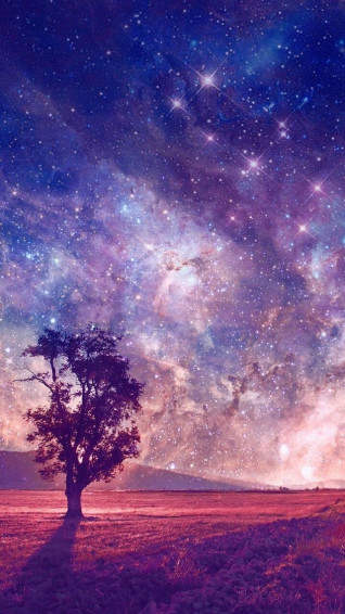 Bi Aesthetic Phone Wallpaper R Bisexual