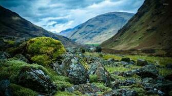 Rocky Mountain Wallpaper Nature