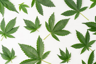 Cool Weed Wallpaper
