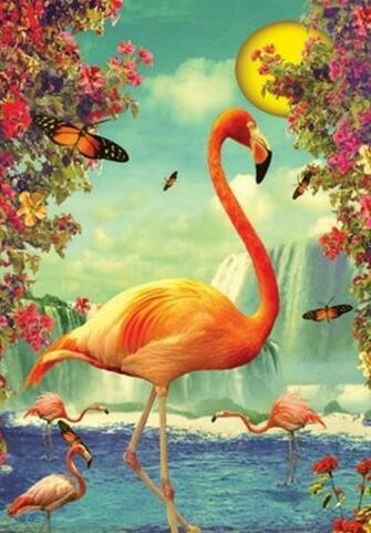 Flamingo You Be The Wings