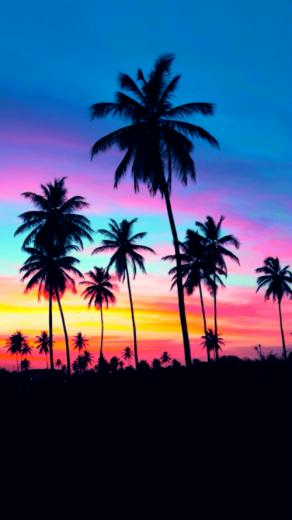 California Wallpaper