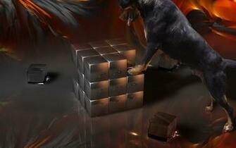 Rottweiler Wallpaper