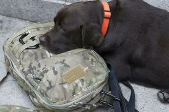 Related Wallpaper Goruck Gr1 Black Rogue Fitness Strength