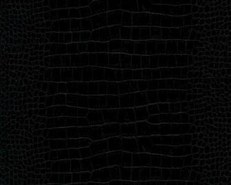 Black Crocodile
