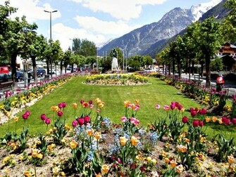 Flowers For Flower Lovers Garden Wallpaper