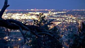 Hot Wallpaper Dry Tree With The City Lights In Background