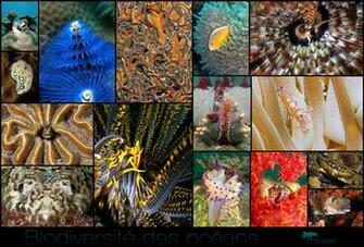 Best Diversity Wallpaper Clinical Population