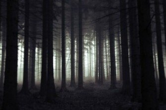 Scary Forest By Jeaneta