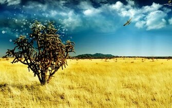 Beautiful And Amazing Wide Screen Wallpaper