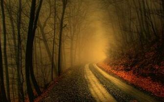 Fog Forest Road HD Wallpaper Background Image
