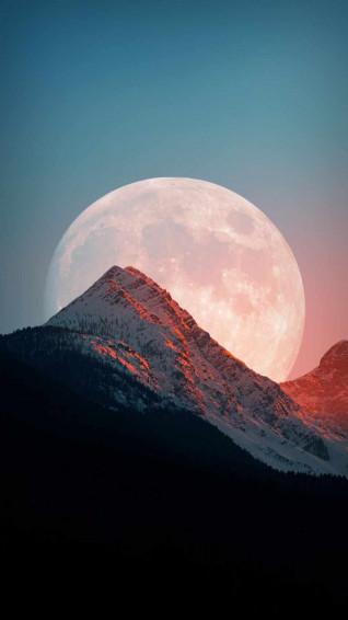 iPhone Wallpaper
