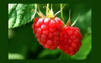 Fresh Fruit Wallpaper