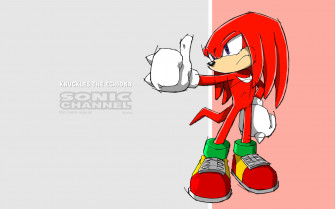 Knuckles The Echidna Giving Thumbs Wallpaper