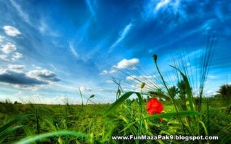 Nature High Definition Wallpaper Pictures