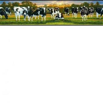 Black Got Milk Wallpaper Border Rustic Country Primitive