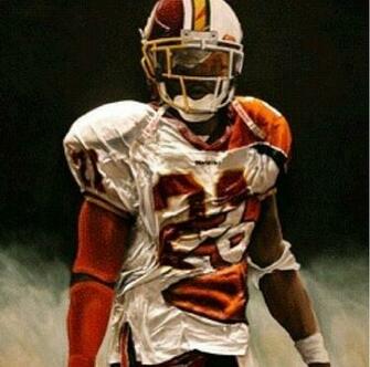Washington Redskins Football Sean Taylor Skins