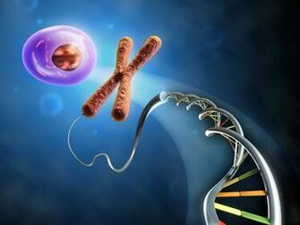 Dna D Structure Molecule Pattern Abstraction Genetic