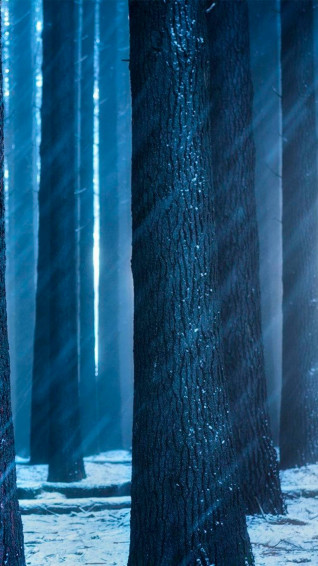 Huawei Honor Wallpaper