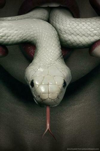 American Horror Story Coven Wallpaper For iPhone