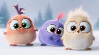 Cute The Angry Birds Movie 4k Wallpaper