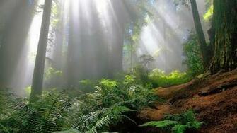 Very Nice Wallpaper Beautiful