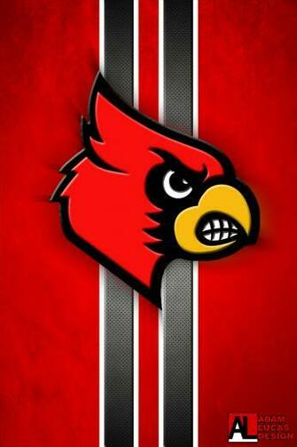Louisville Cardinal Wallpaper