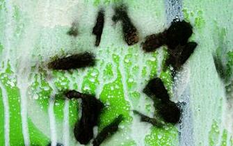 Spray Paint Stars Landscape Wallpaper