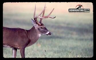 Bowhunting And Hunting Desktop Wallpaper